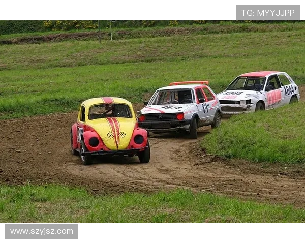 雨燕360体育免费直播赛事尽览